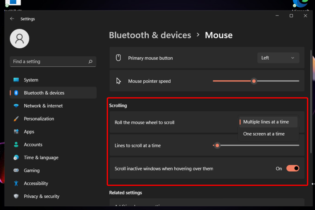 Mouse Settings on Windows 11: Change Speed & Sensitivity