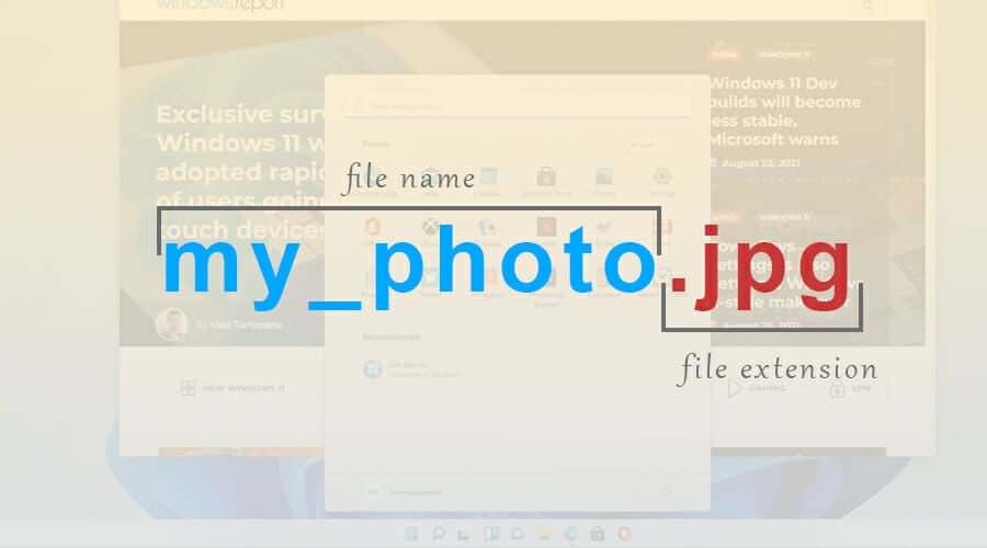 file extension jpg