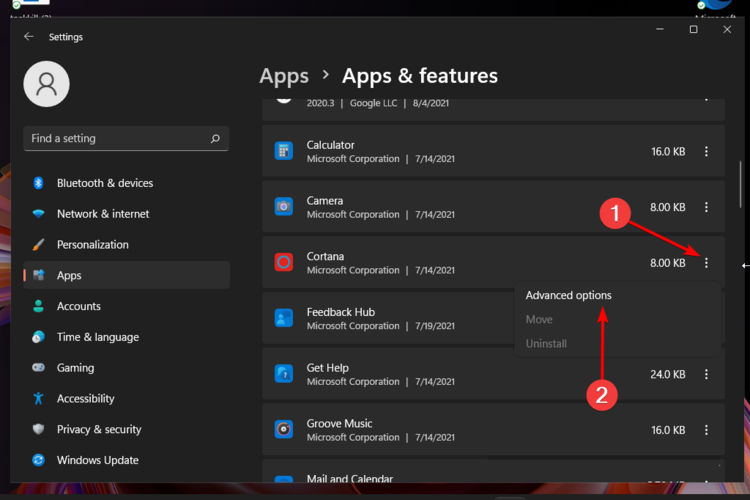 advanced options apps windows 11