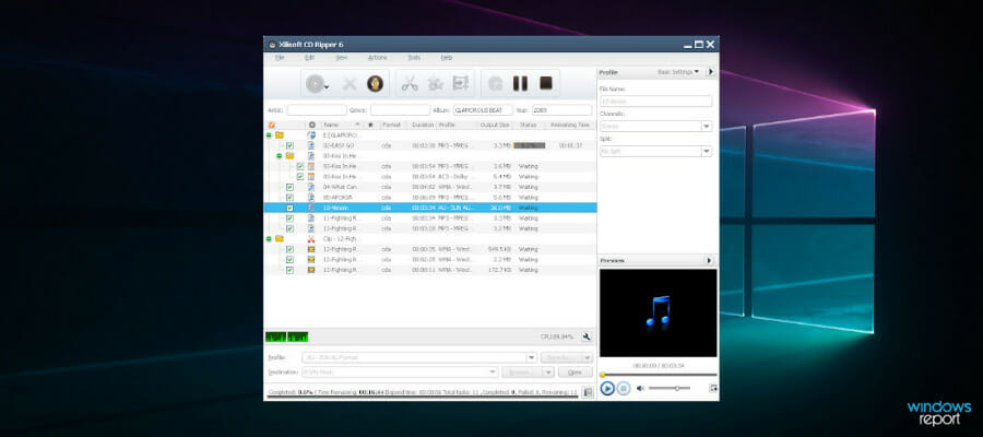 xilisoft dvd ripper sound out of sync