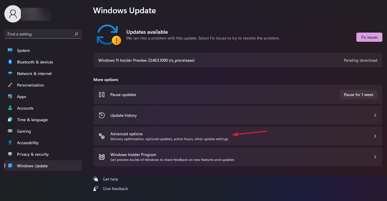 updates advanced options windows