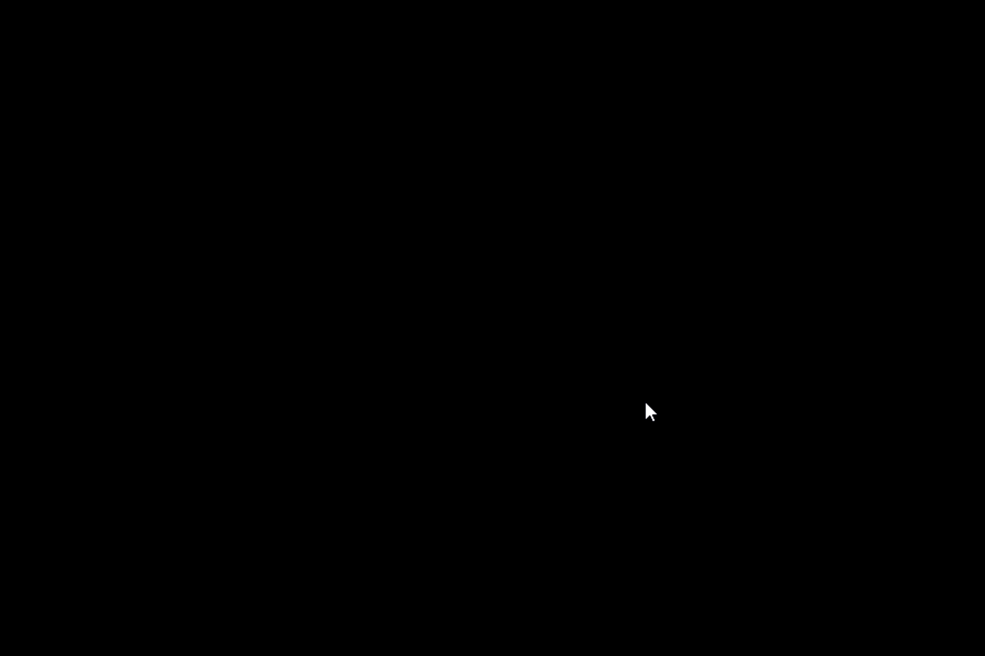 Black Screen with Cursor