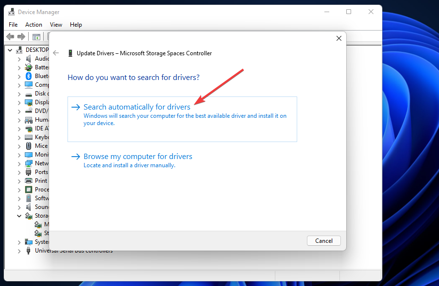Search automatically for drivers option clock watchdog timeout windows 11