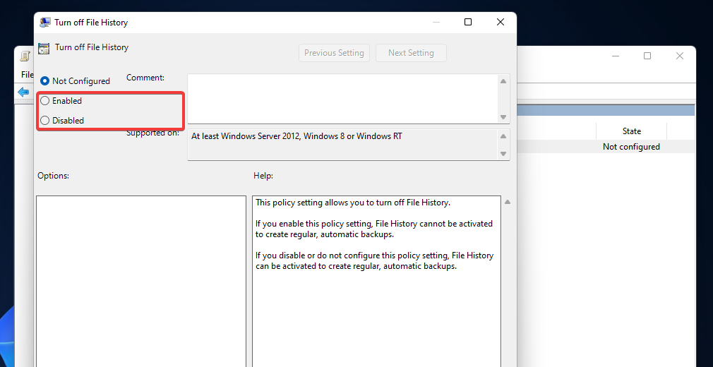 The Enabled and Disabled options windows 11 file history