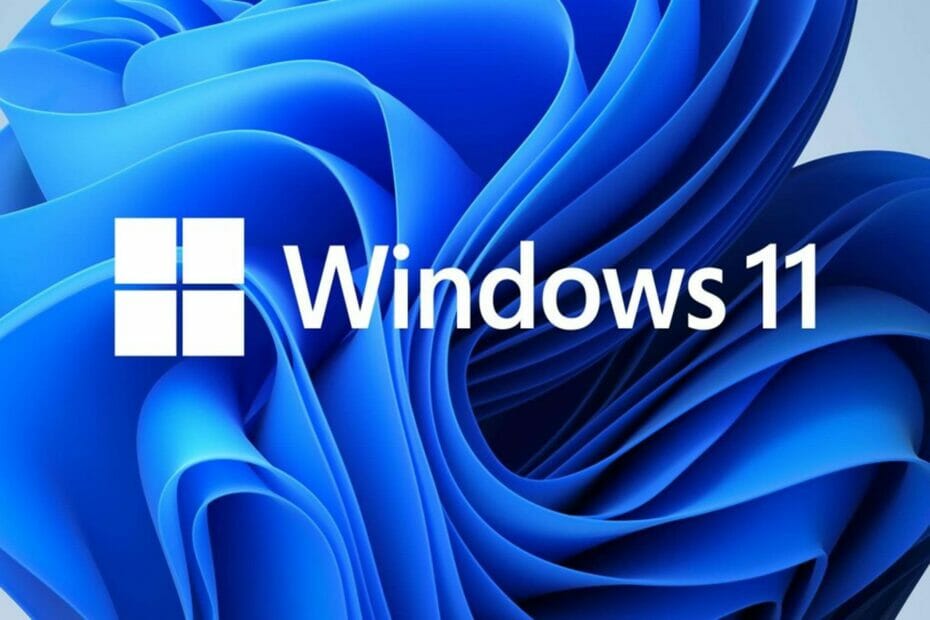 Windows 11 takes up approximately 10% of the market share