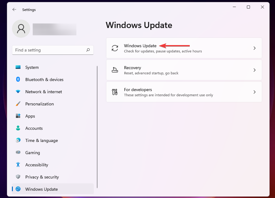 Windows Update option