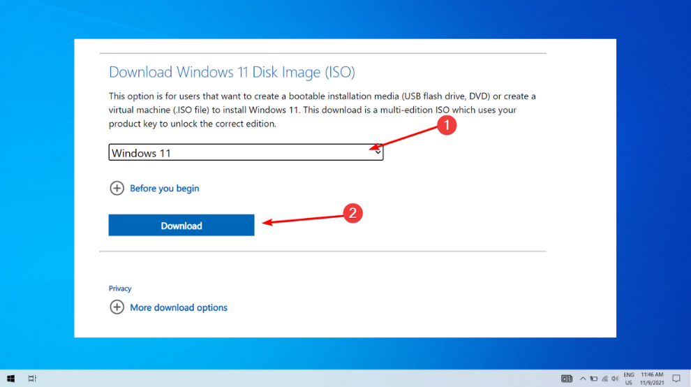 download windows 11 iso apps option invalid data access trap windows 11