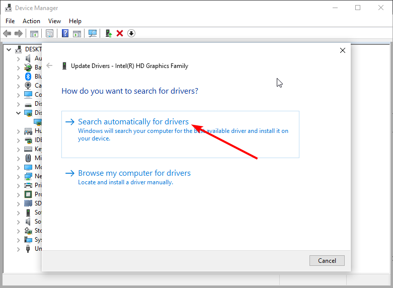 search auto windows 10 text not showing
