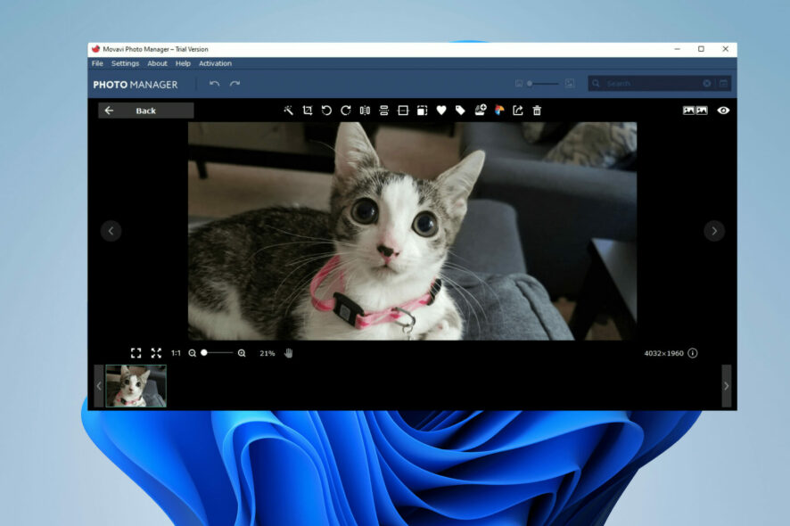 Windows 11 photo viewer