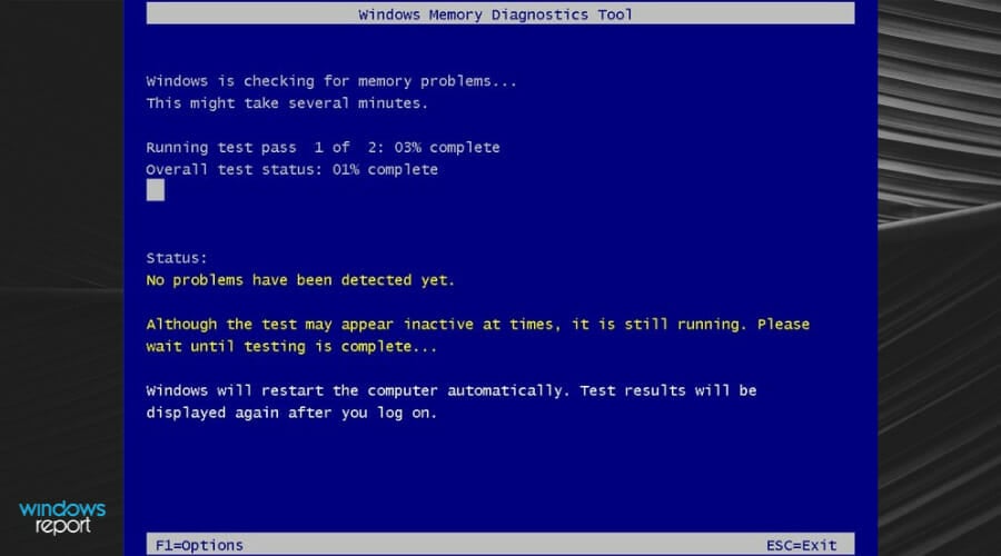 Windows Memory Diagnostics Scan Window