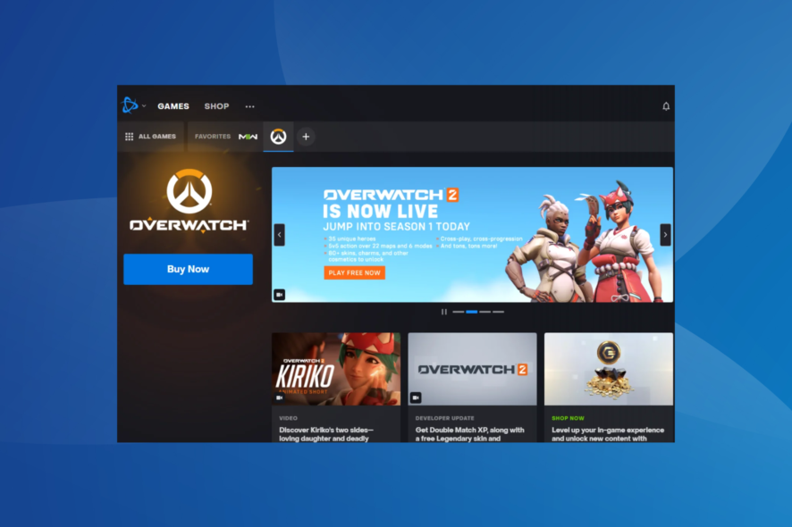 fix battlenet crashing on Windows PC