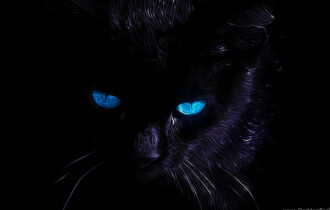 black cat ransomware