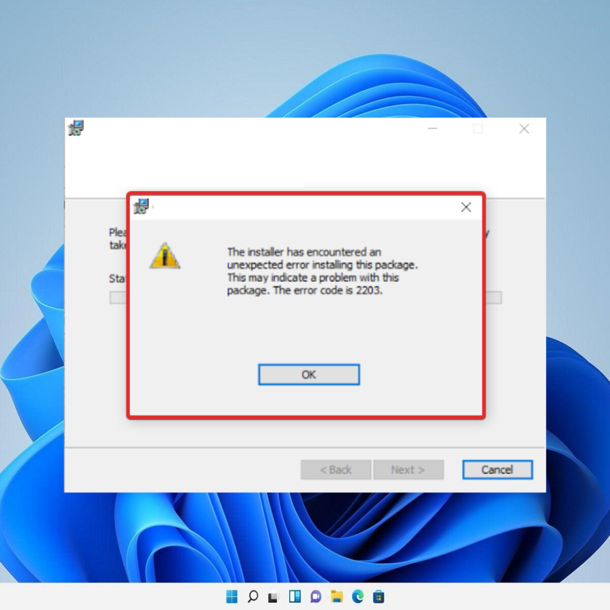 Fix: Installer encountered an unexpected error 2203