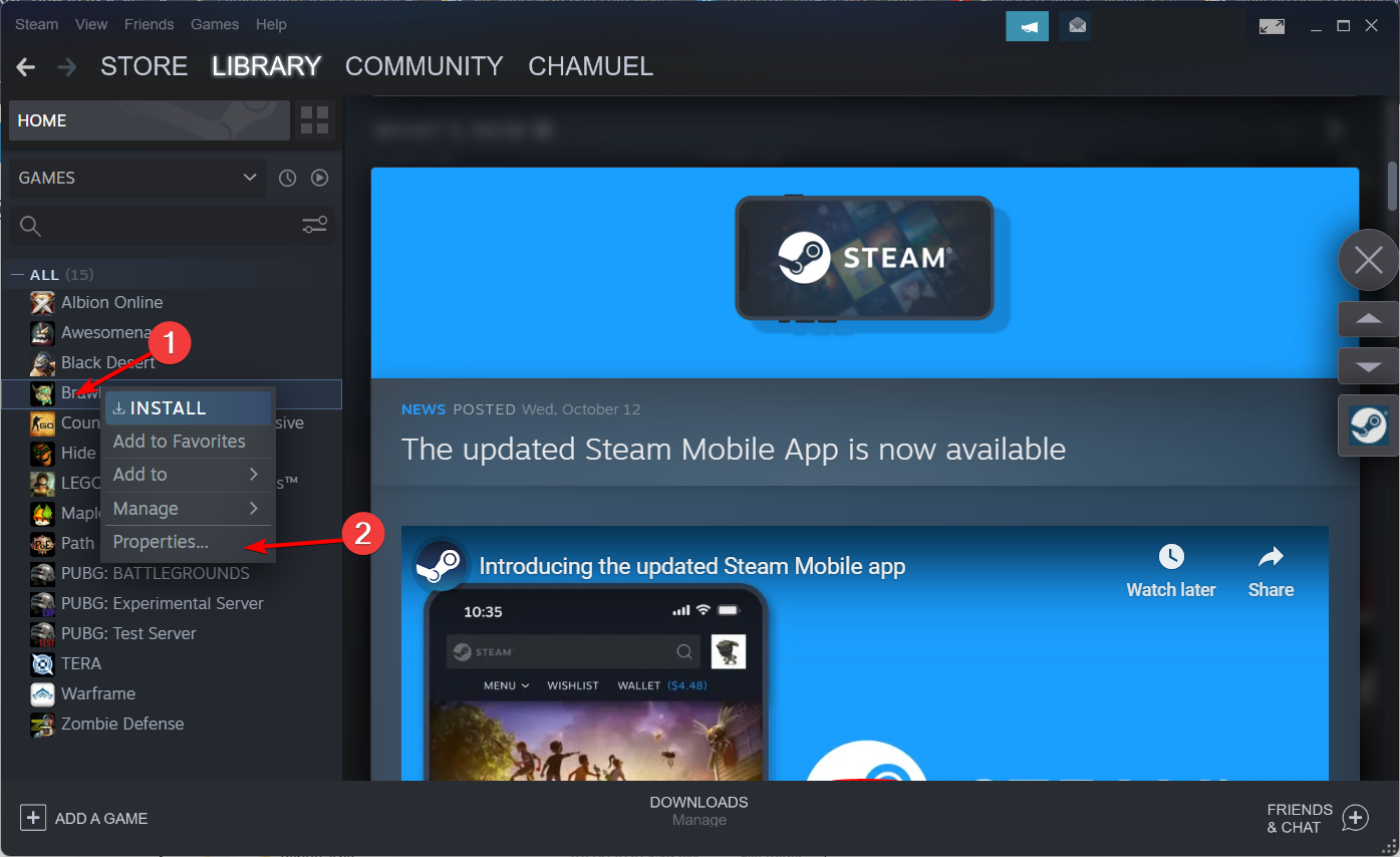 properties-install steam game launches then closes