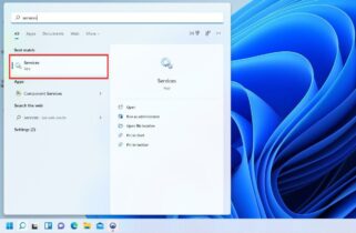 Windows 11 Disable Search: 5 Ways to Easily do it