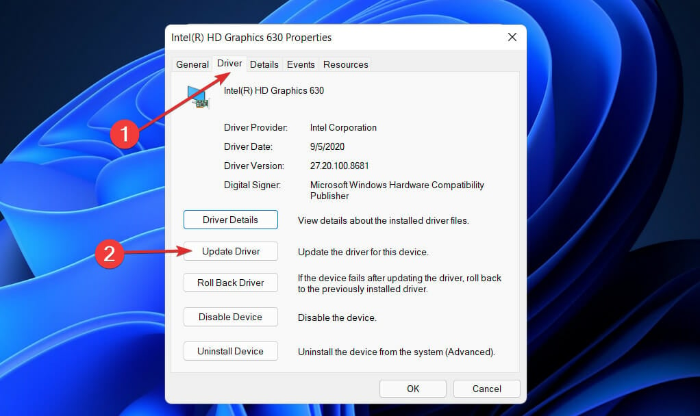 update display card adapter windows 11 can't change resolution