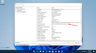 how to check your bios version windows 11