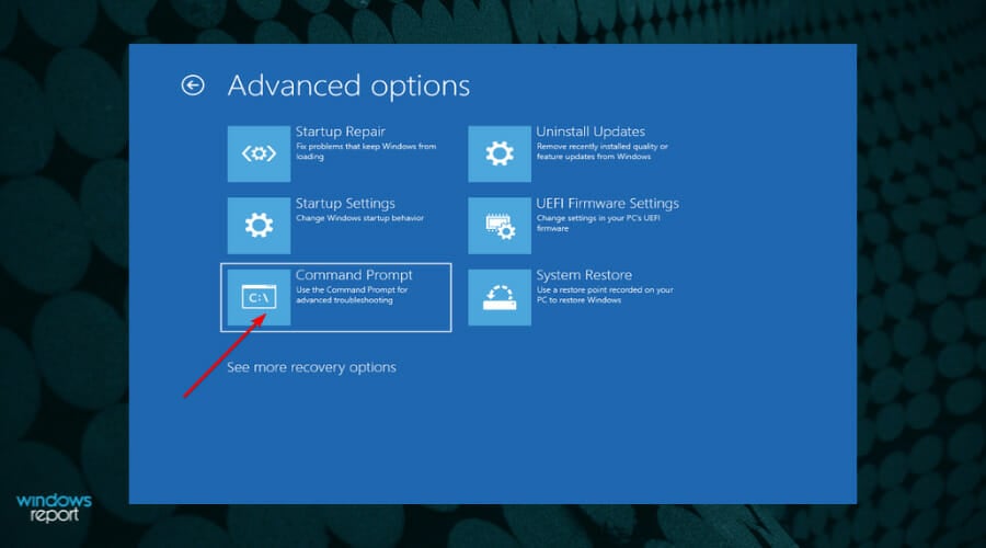 Command Prompt in Advanced options