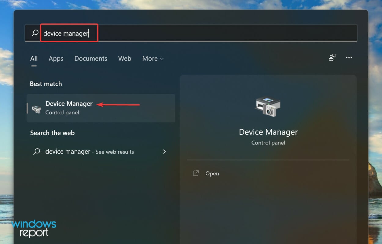 Launch Device Manager to fix skype stereo mix not working