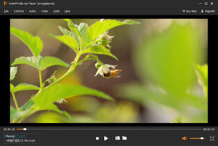 instal the new version for windows AnyMP4 Blu-ray Player 6.5.52