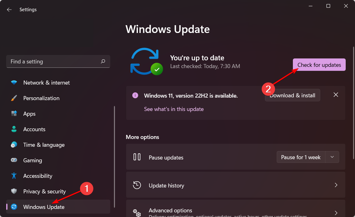 check-updates-w11 windows 11 blue screen
