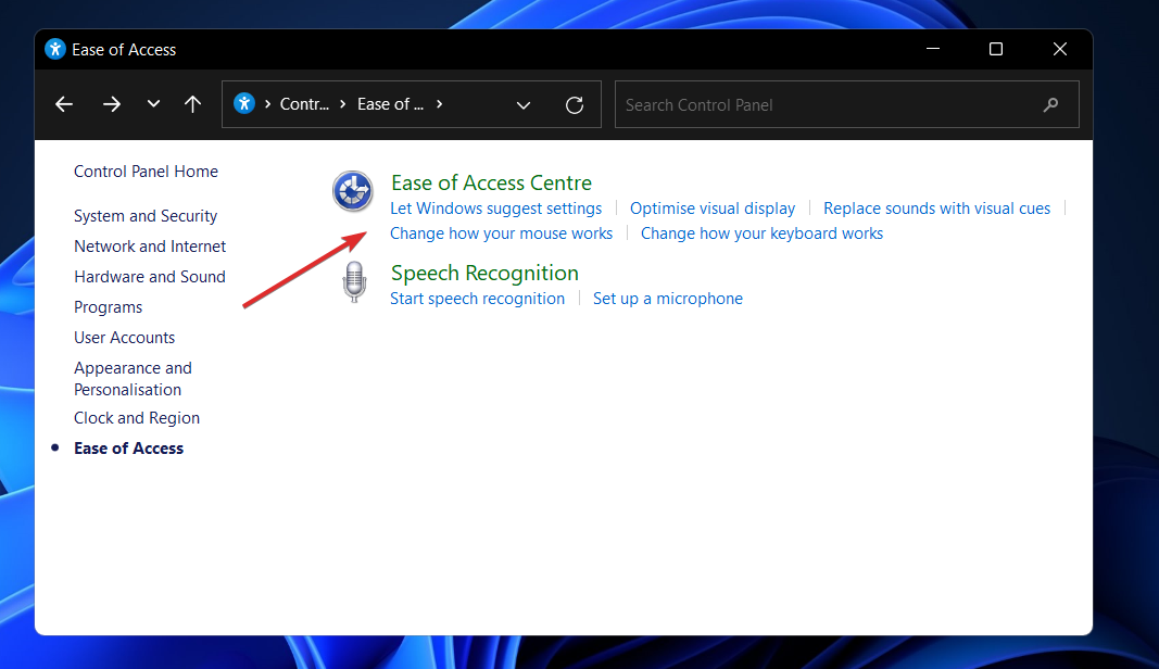 ease-of-access-center disable animations windows 11