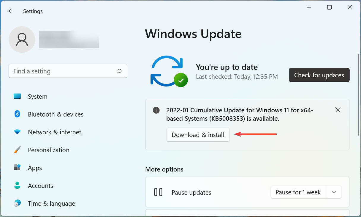 Download & install update