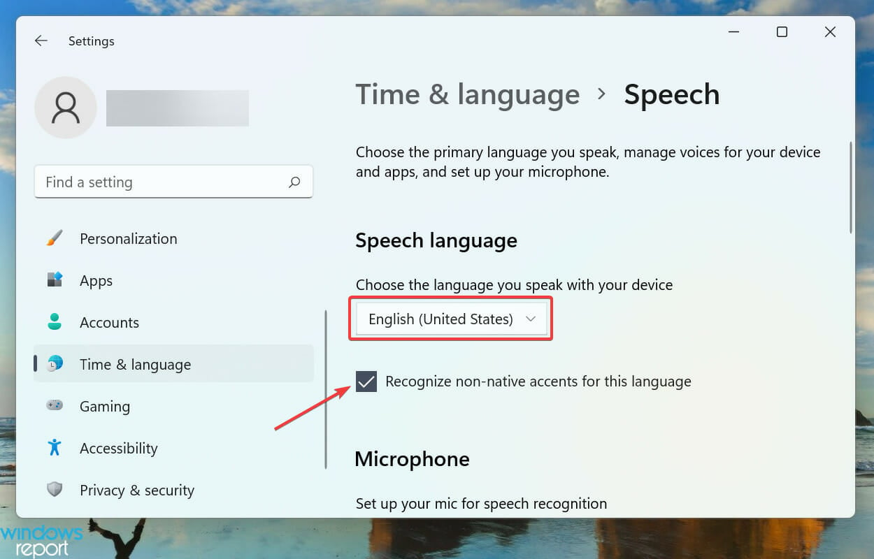 Choose language to fix windows 11 voice typing not working