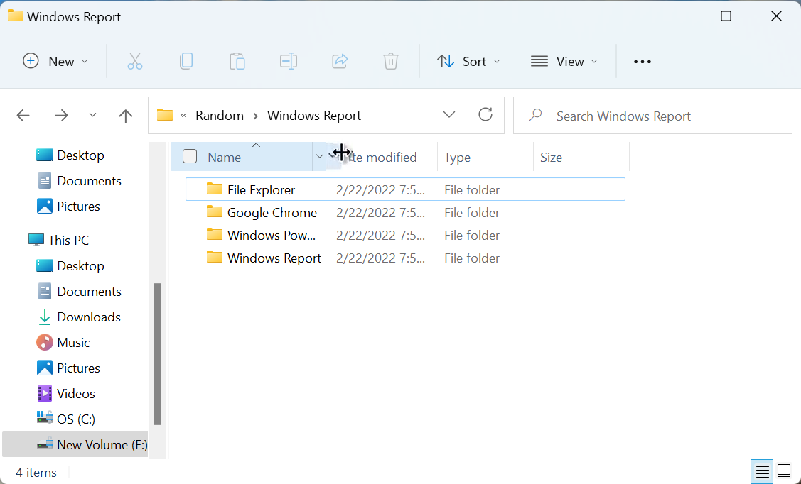 Drag to size all columns to fit automatically windows 11