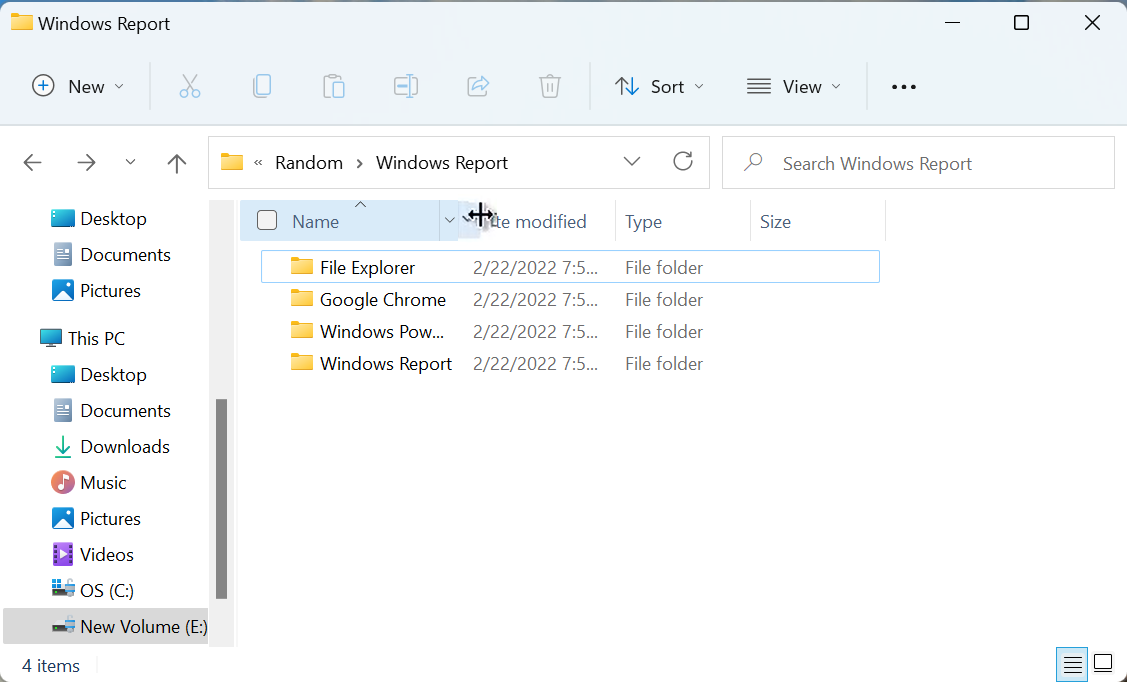 how-to-size-all-columns-to-fit-automatically-in-windows-11