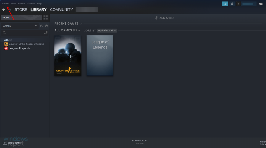 backup Steam game files select steam