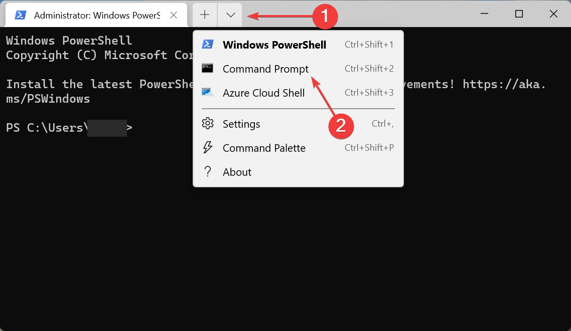 Open Command Prompt to remove duplicate files windows 11