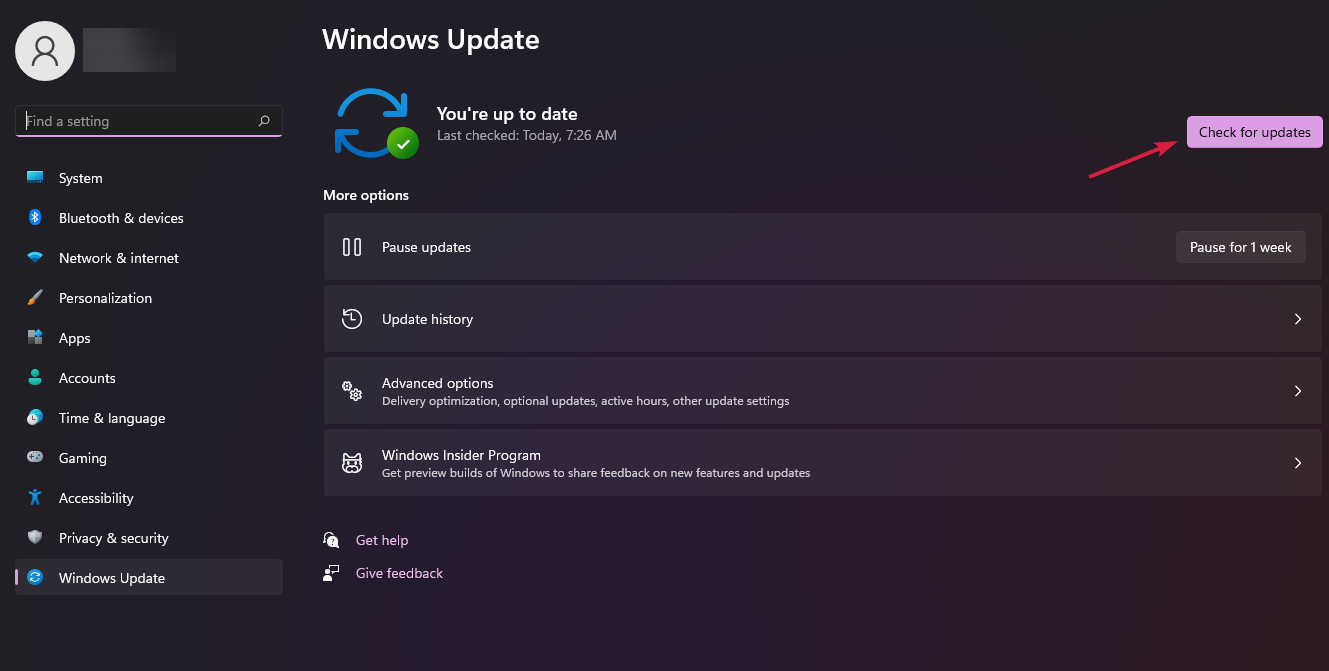 check for updates windows 11