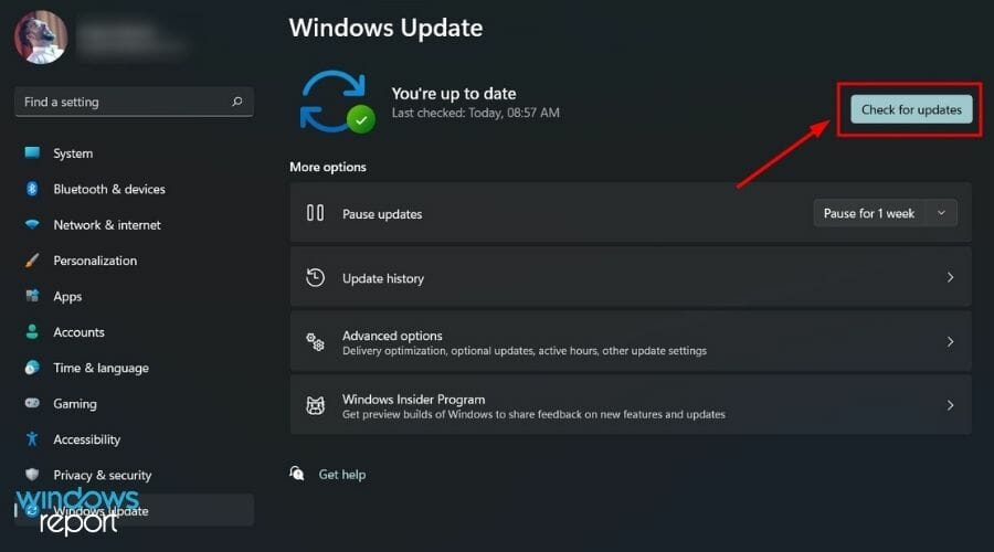 Microsoft Store update stuck on pending Windows 11 update check