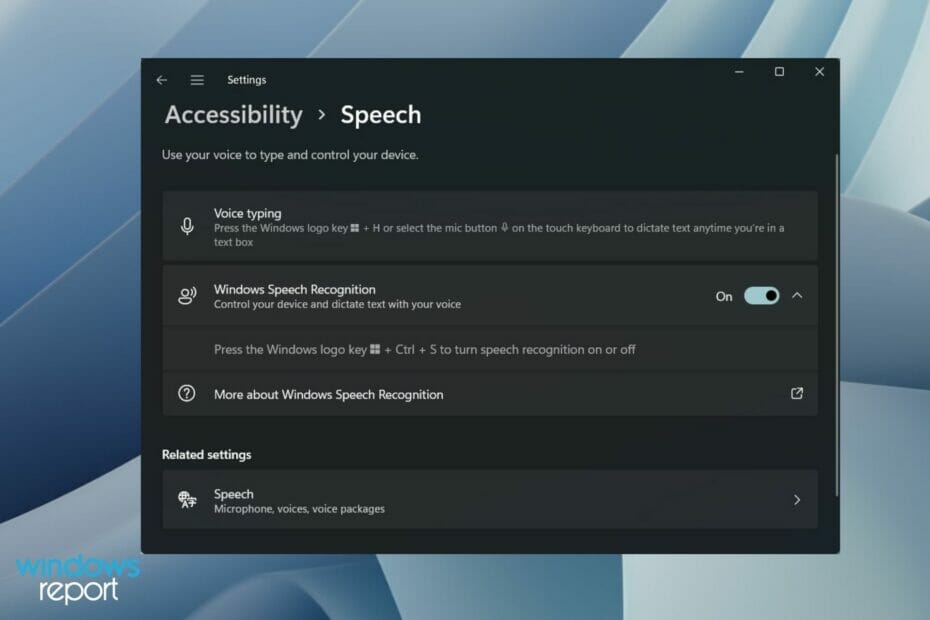 disable speech recognition windows 11