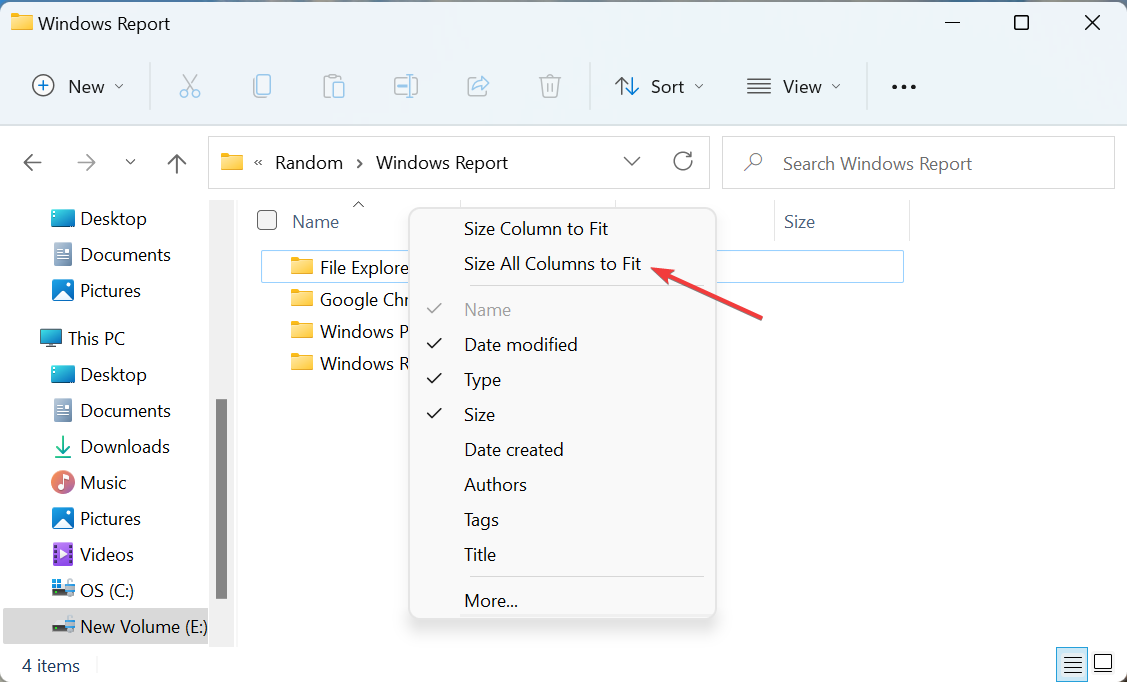 size all columns to fit automatically in windows 11