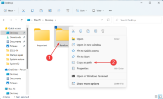 Find and Delete Duplicate Files in Windows 11 [3 Easy Steps]