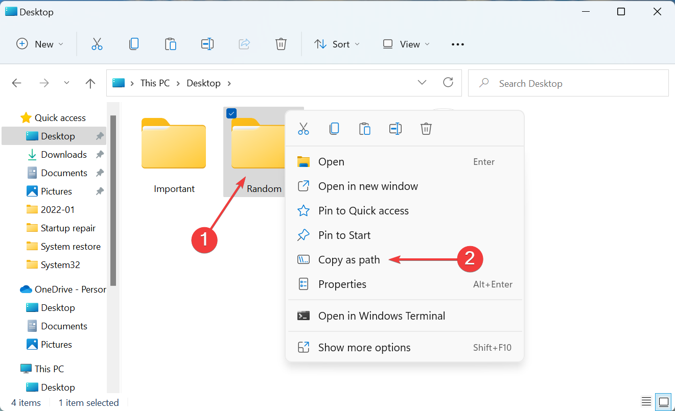 Copy as path to remove duplicate files windows 11