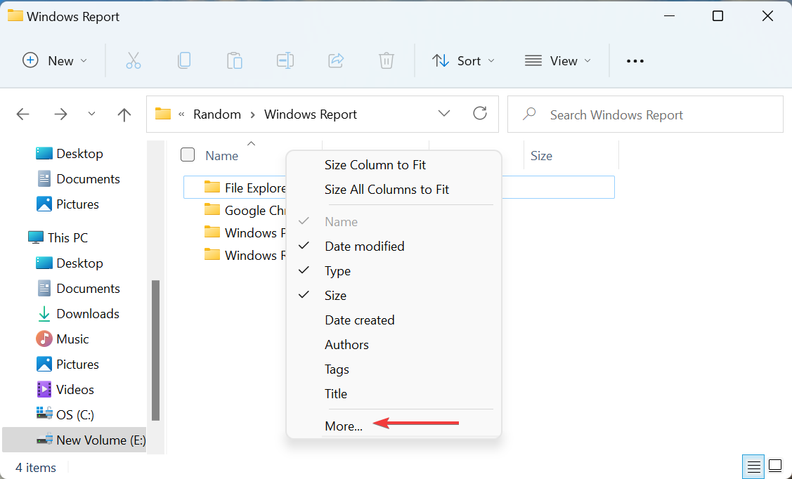 How To Size All Columns To Fit Automatically In Windows 11