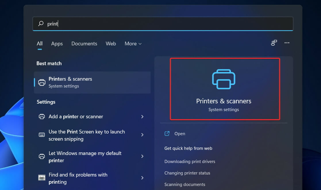 search printer windows 11 not detecting canon printer