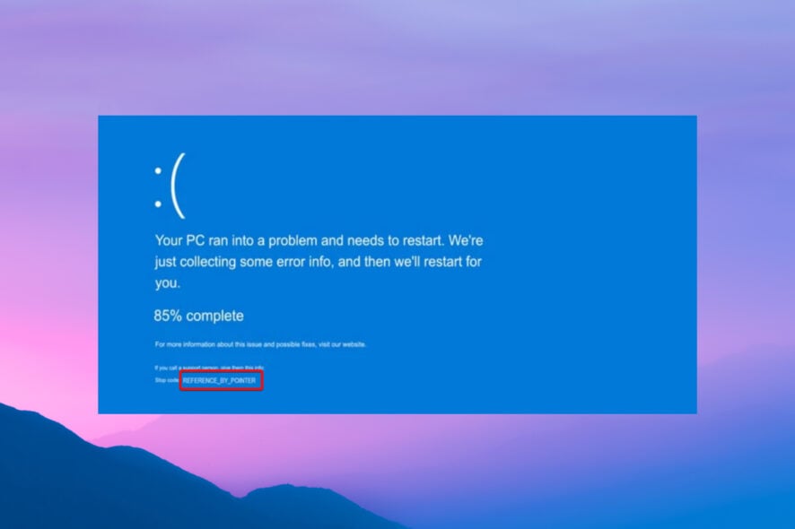How to fix Reference by pointer BSoD error