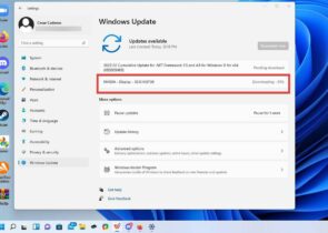 5 Ways To Update Your Graphics Driver On Windows 11