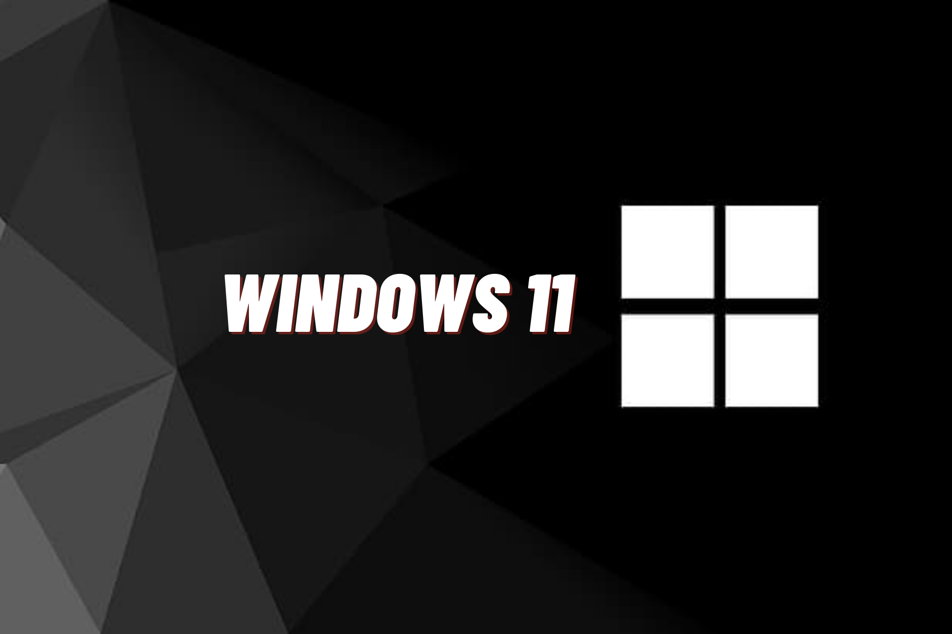 windows 11 import export wizzard