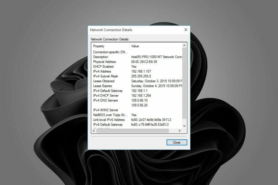 manual assignment of ip address