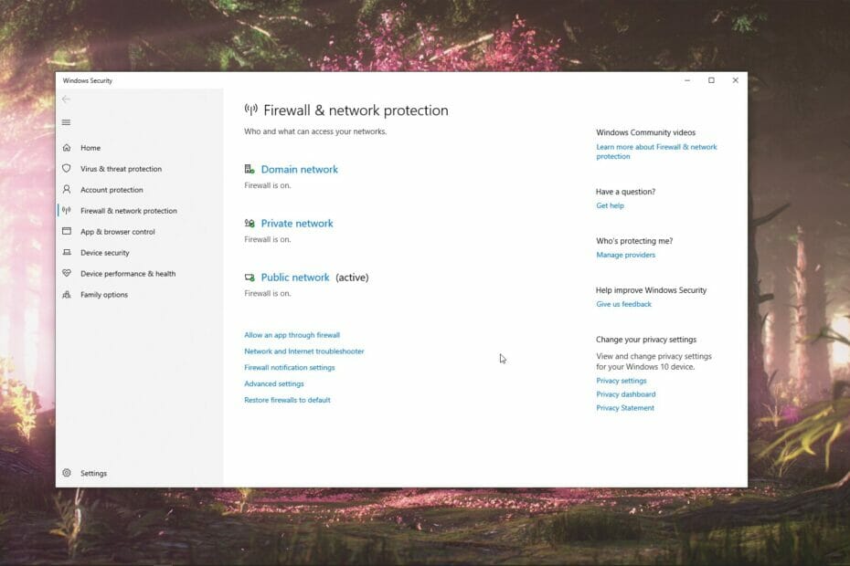 whitelist firewall windows 11