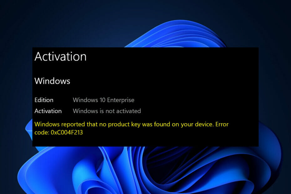 0xc004f213 on Windows 11: How to Fix This Activation Error