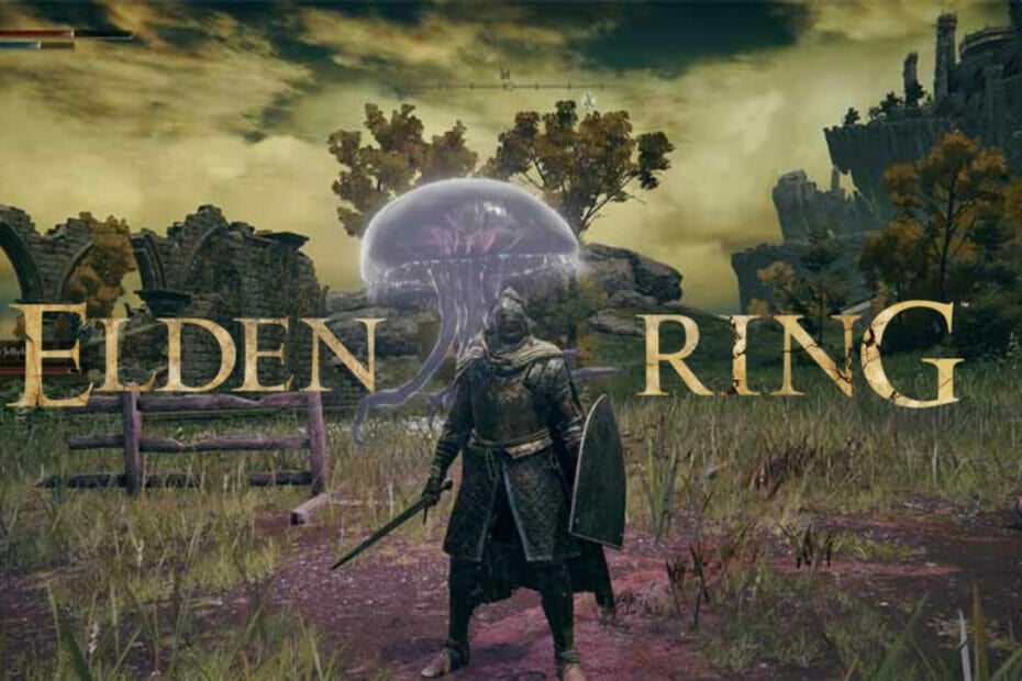 Fix Elden Ring Can T Summon Ashes   Elden Ring Ashes 930x620 