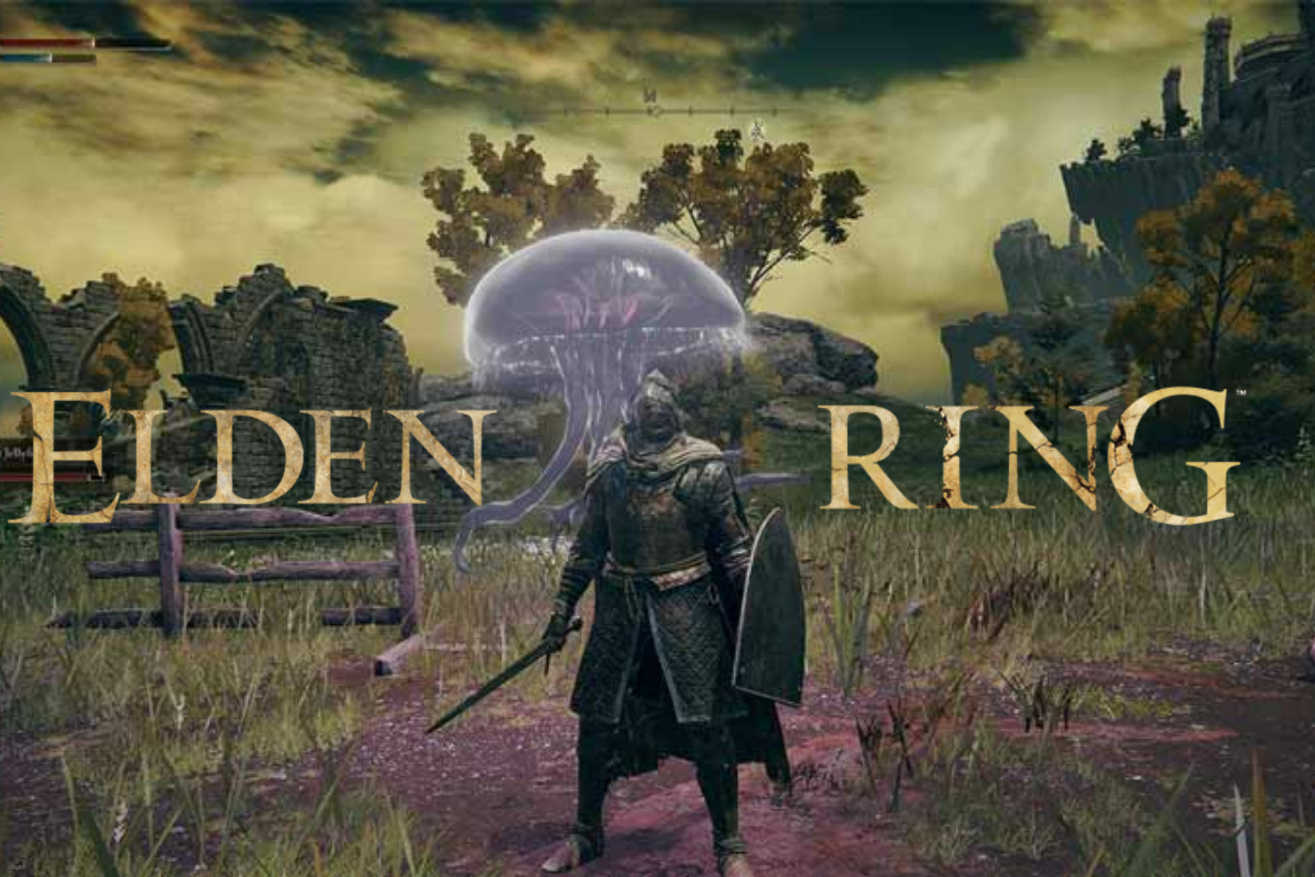 Elden ring can't see me