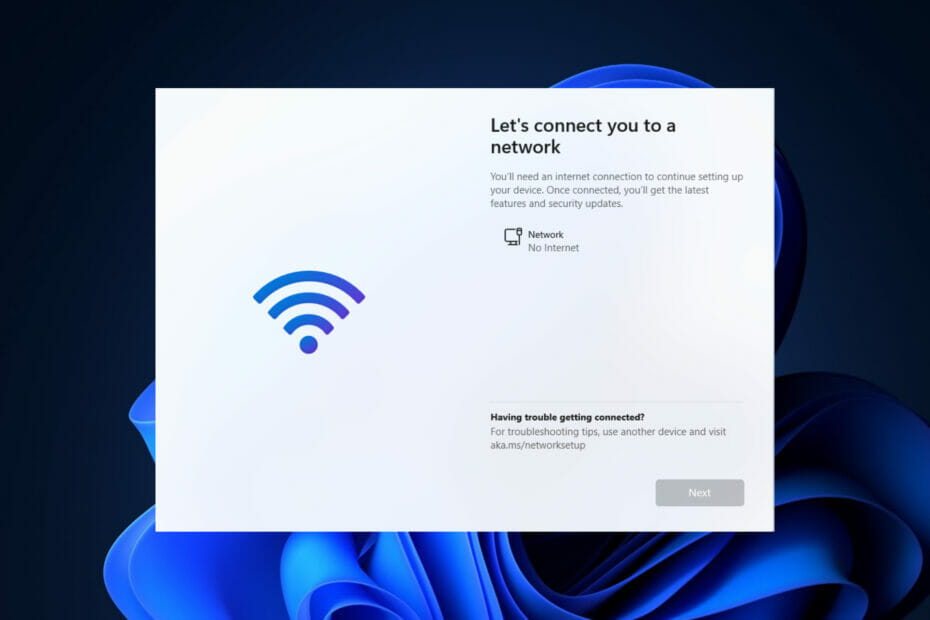 no internet connection windows 11 install