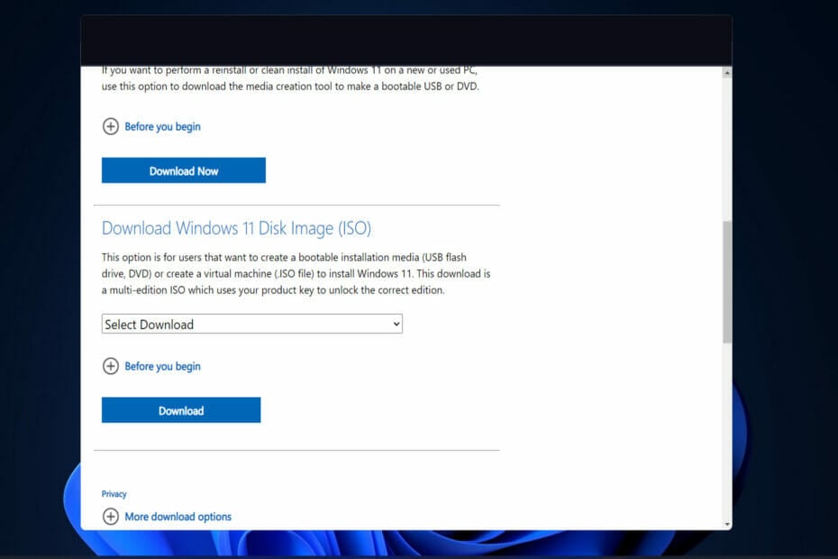 download windows 11 disk image (iso) for x64 devices error